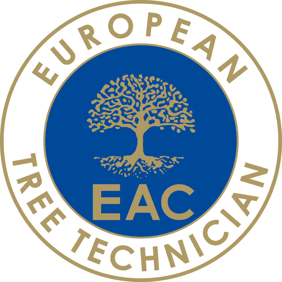 European Tree Technician Zertifikat – Monkey Business Baumpflege